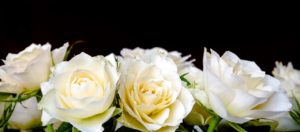 dia da noiva bh flores brancas